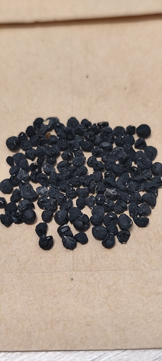 Graines d'ail d'ornement violet ou allium giganteum - sachet de 1 gramme