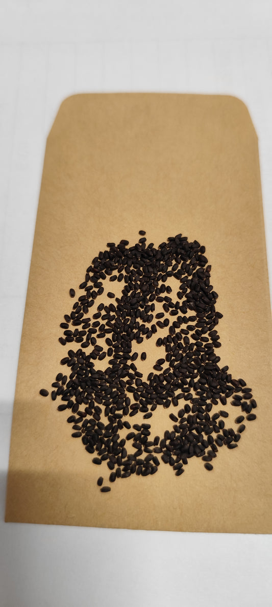 Graines de basilic thaï - sachet de 1 gramme