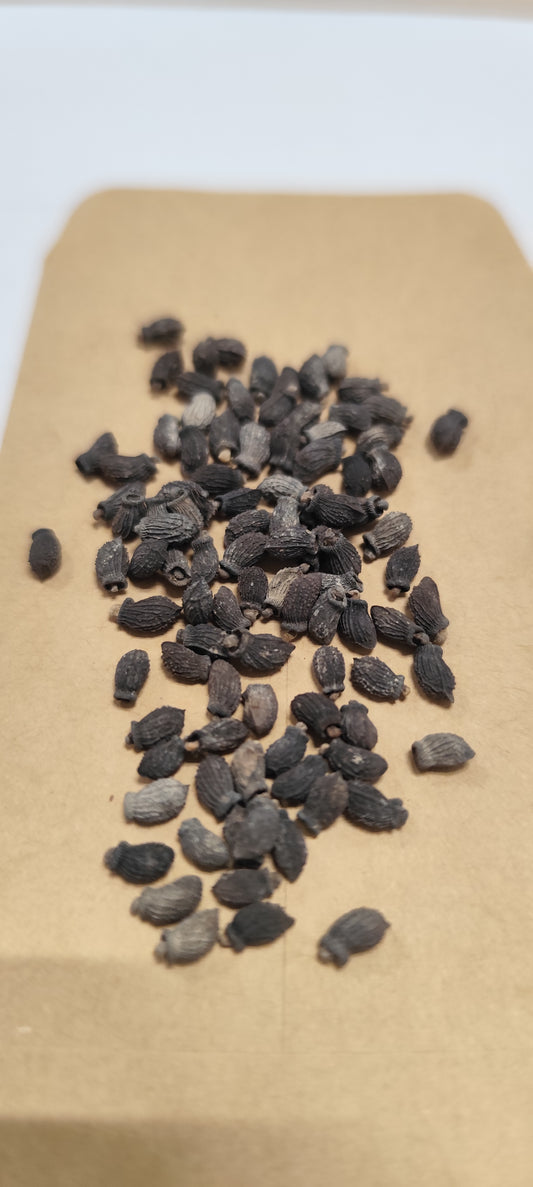 Graines de bourrache bleue - sachet de 2 grammes