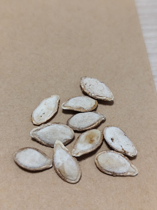 Graines de courge butternut musquée - sachet de 1 gramme