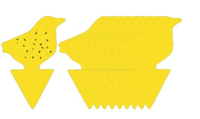 10 stickers jaune ou noir collants pour insectes volants