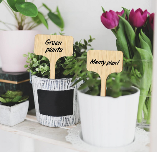 10 plaquettes en bois porte-nom pour plantes vertes, semis et jardinage