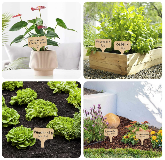 10 plaquettes en bois porte-nom pour plantes vertes, semis et jardinage