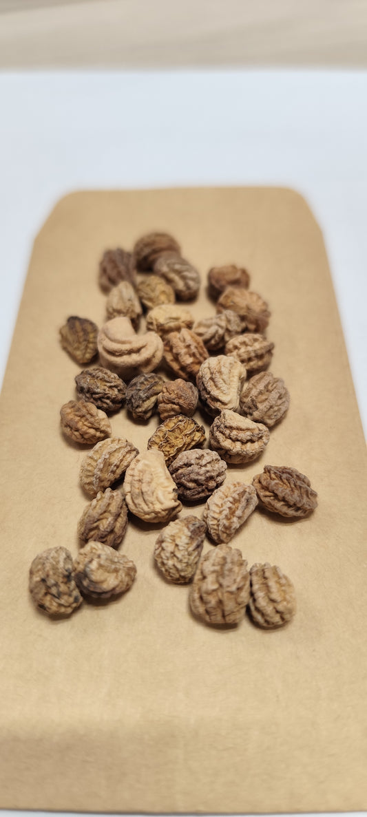 Graines de capucine naine Impératrice des indes Rouge - sachet de 5 grammes