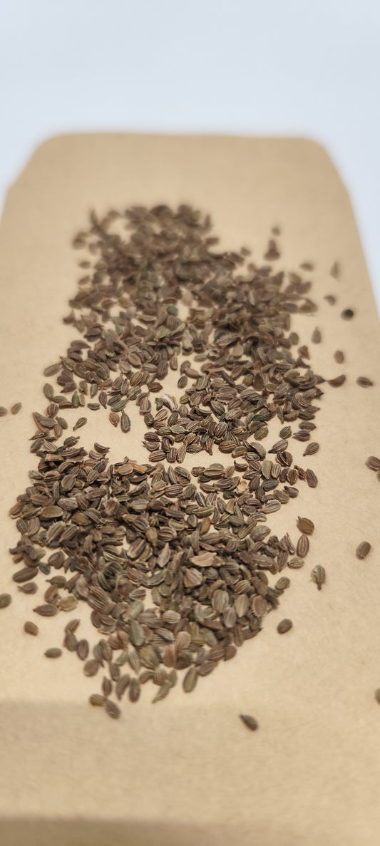 Graines de carotte nantaise améliorée 2 (carotte d'été) - sachet de 1 gramme