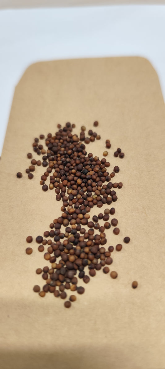 Graines de chou frisé demi-nain ou chou Kale - sachet de 1 gramme