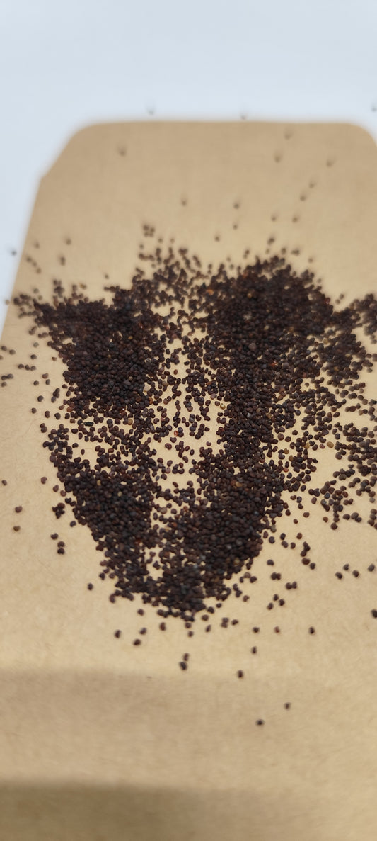 Graines de coquelicot simple rouge - sachet de 0.5 gramme