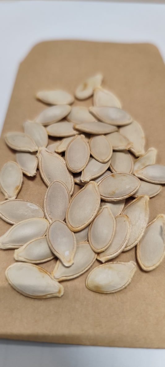 Graines de courgette de Nice BIO à fruit rond - sachet de 5 grammes