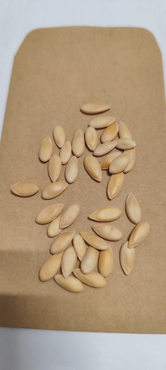 Graines de melon Charentais super précoce du Roc - sachet de 1 gramme