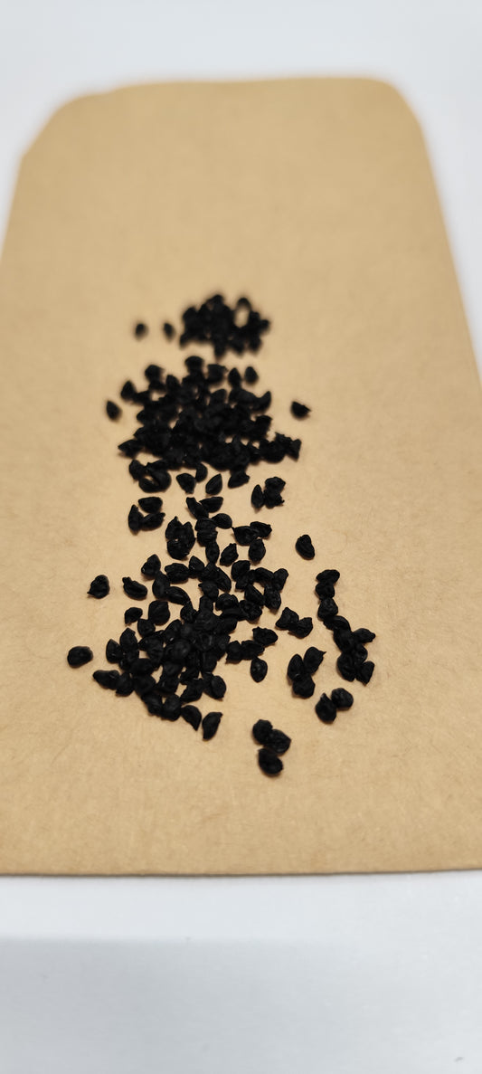 Graines de poireau gros long d'été - sachet de 0.5 gramme