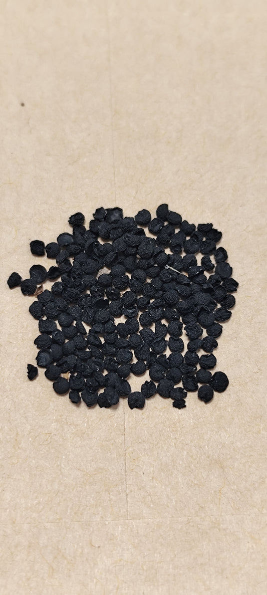 Graines d'ail des ours de Savoie - sachet de 1 gramme