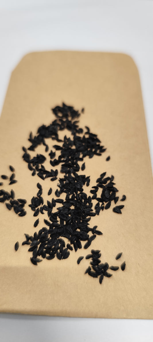 Graines de ciboulette - sachet de 0.5 gramme