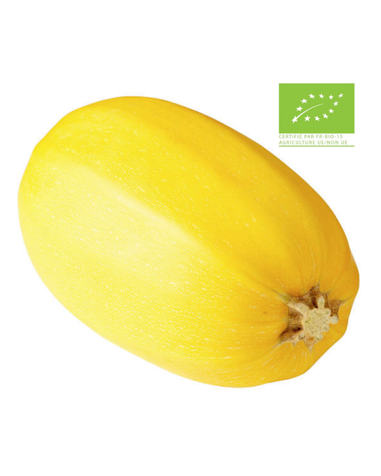 Graines de courge spaghetti BIO - sachet de 5 grammes