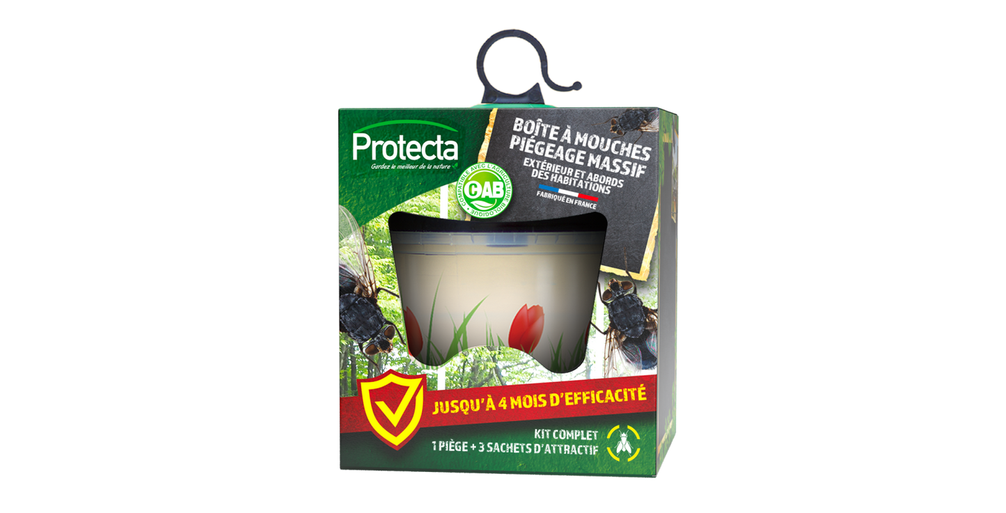 Boîte piège à mouches réutilisable avec 4 appâts inclus