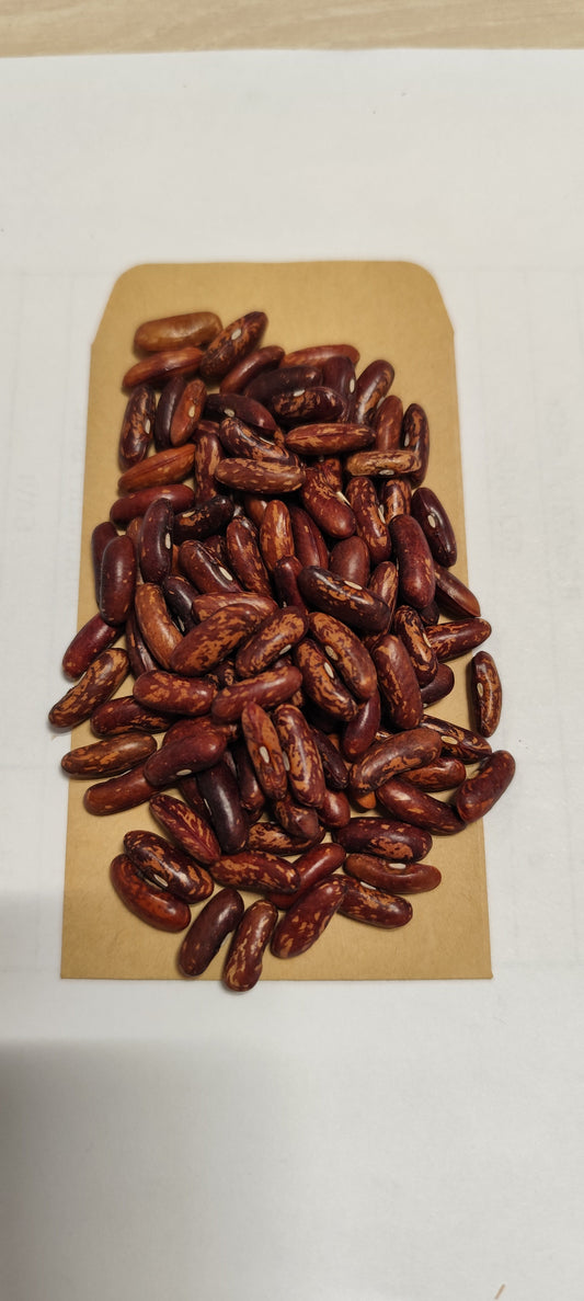 Graines de haricot vert nain CUPIDON - sachet de 20 grammes