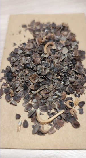 Graines de fleurs champêtres en mélange - sachet de 10 grammes