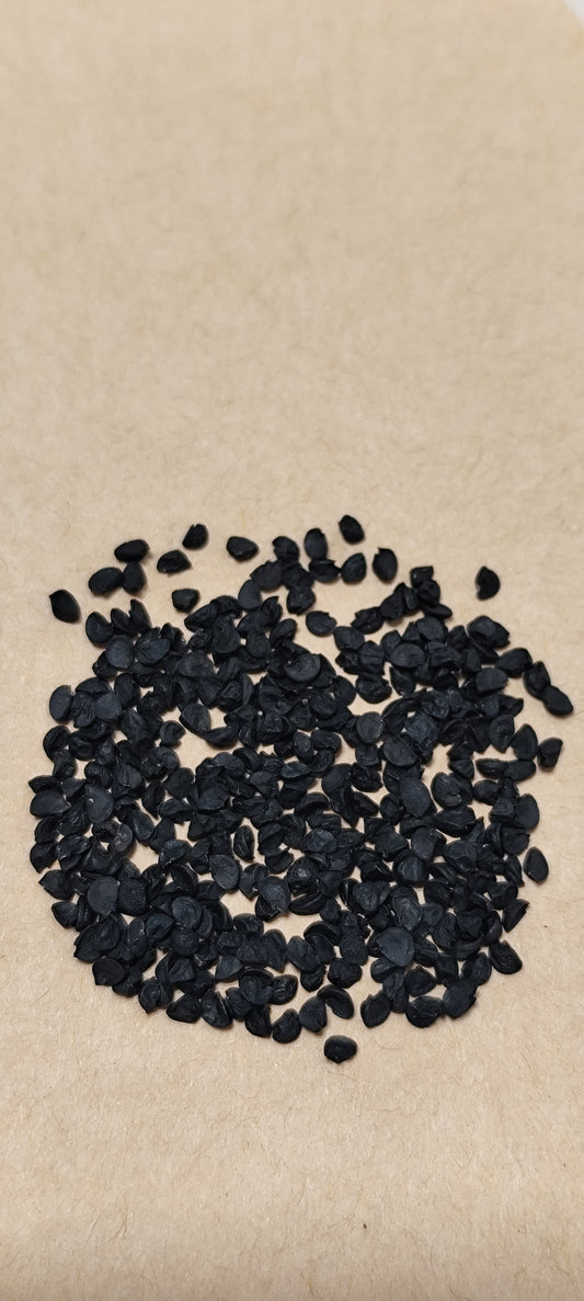 Graines d'oignon jaune paille des vertus - sachet de 1 gramme