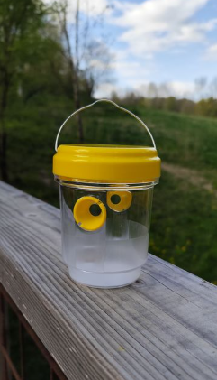 Piège écologique réutilisable pour guêpes et frelons à suspendre