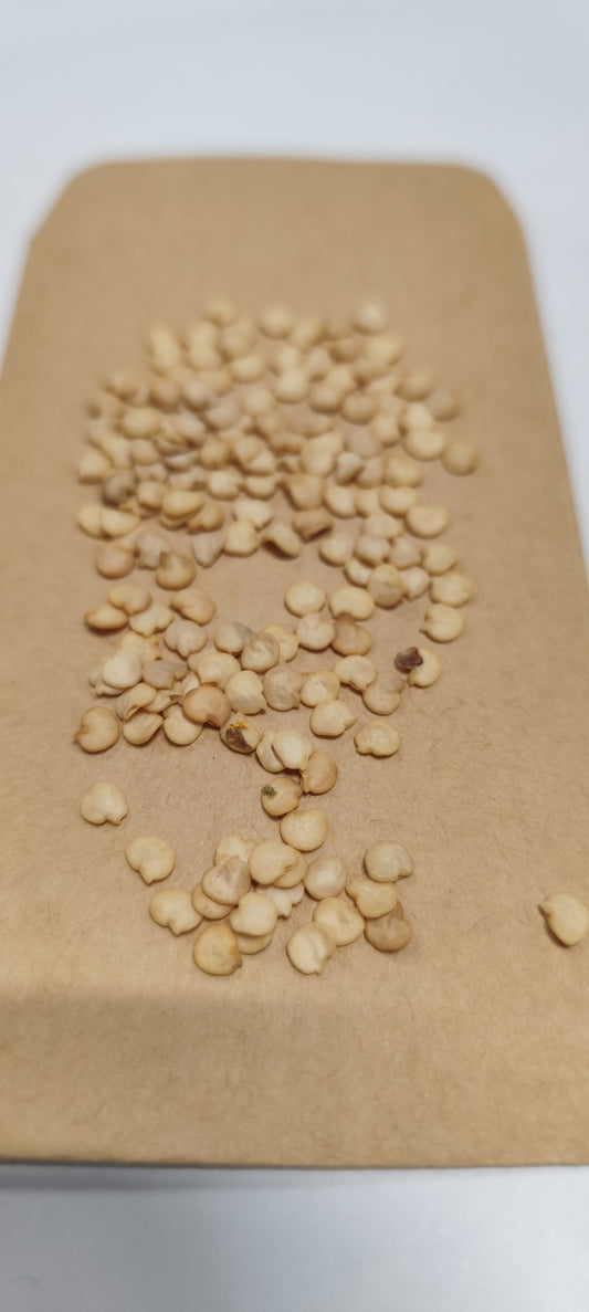 Graines de piment cerise piquant - sachet de 1 gramme