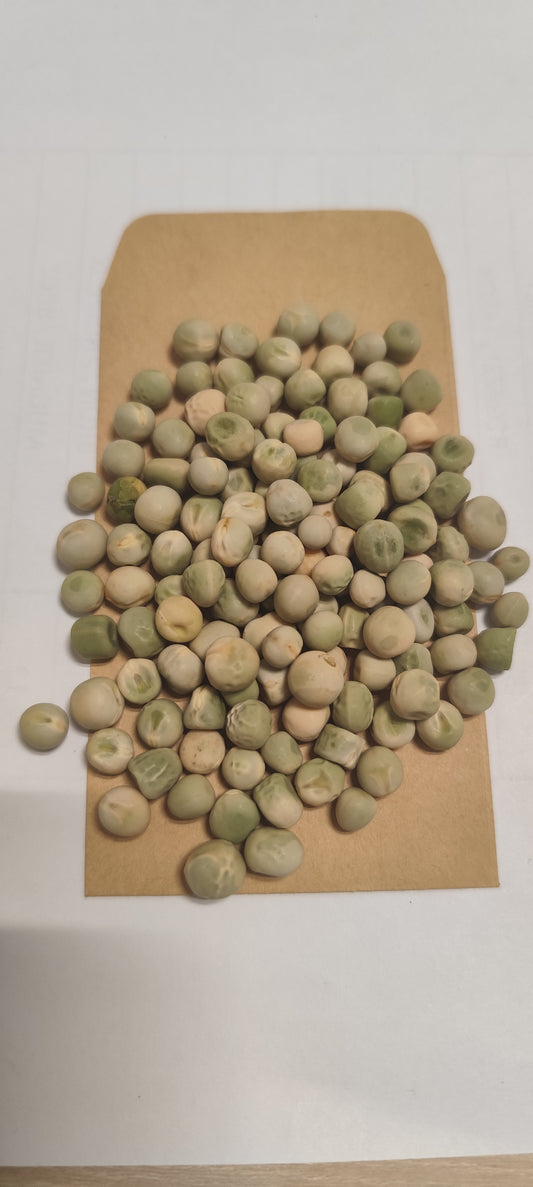 Graines de pois nain précoce Douce Provence - sachet de 20 grammes