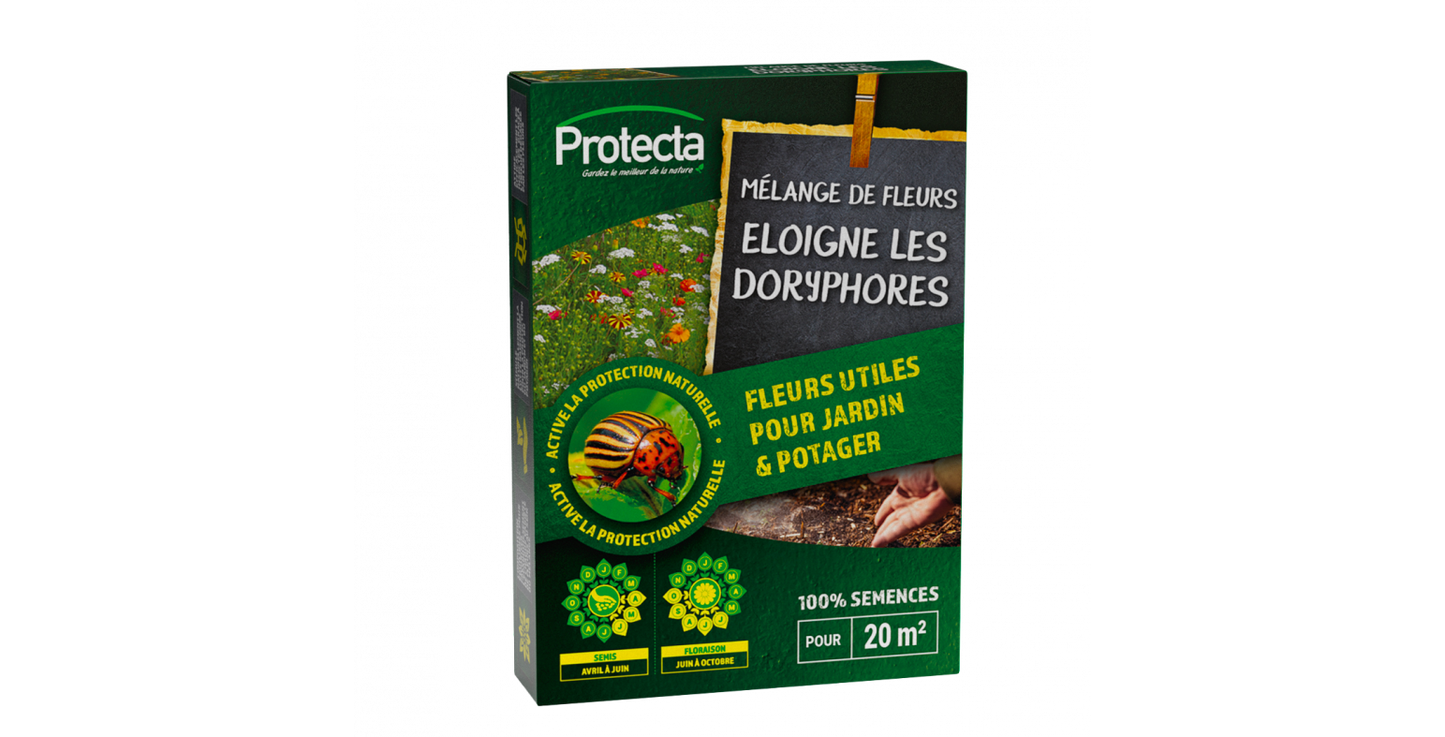 Semences utiles doryphores : Mélange de fleurs éloigne les doryphores - 50 gr