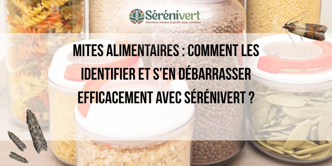 Mites alimentaires : Comment les identifier et s’en débarrasser efficacement ?
