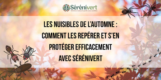 Les nuisibles de l’automne : comment les repérer et s’en protéger efficacement avec Sérénivert