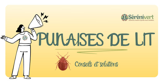 Punaises de lit : comment les reconnaître, les éliminer et éviter leur retour ?