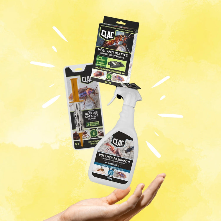 Solutions anti-nuisibles pour la maison