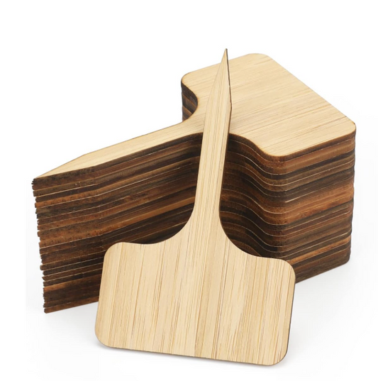 10 plaquettes en bois porte-nom pour plantes vertes, semis et jardinage