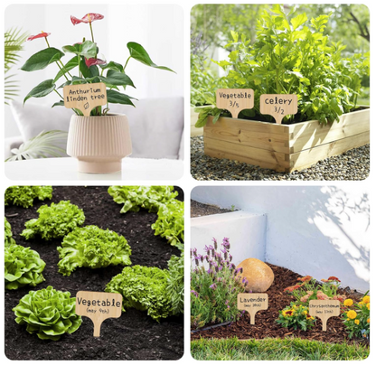 10 plaquettes en bois porte-nom pour plantes vertes, semis et jardinage