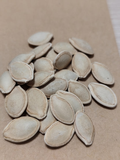 Graines de courgette verte des maraîchers - sachet de 3 grammes