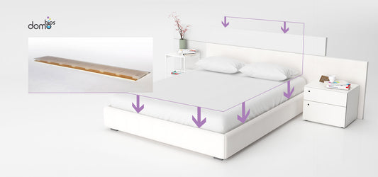 Piège collant capture et détection des punaises de lit DOMOBIOS x4 sans insecticide