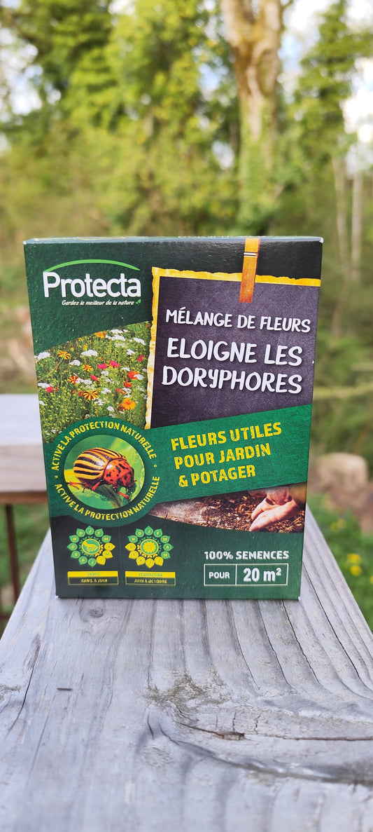 Semences utiles doryphores : Mélange de fleurs éloigne les doryphores - 50 gr