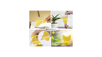 10 stickers jaune ou noir collants pour insectes volants