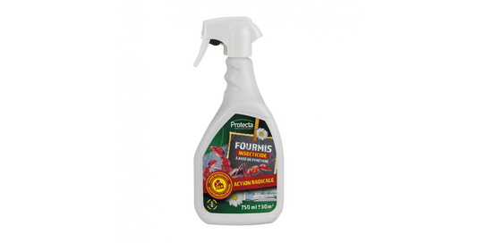 Spray insecticide fourmis 750 ml prêt à l'emploi à base de pyrèthre