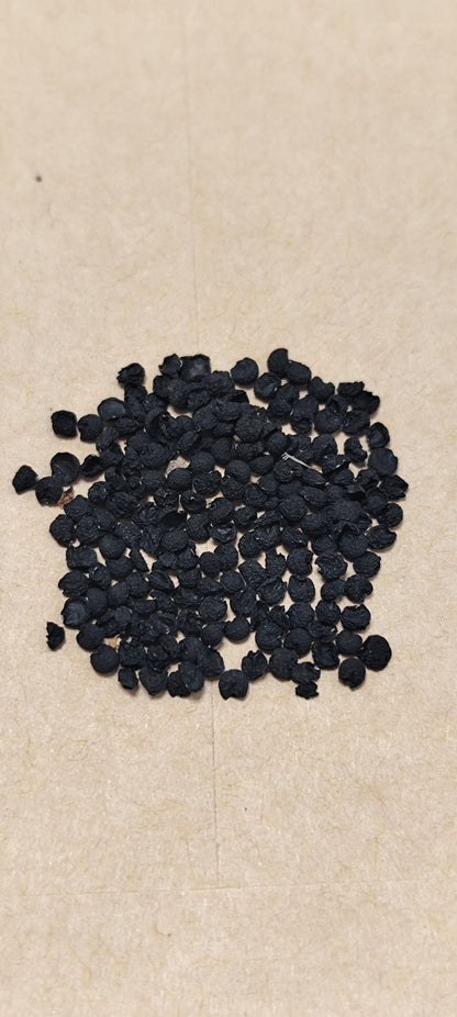 Graines d'ail des ours de Savoie - sachet de 1 gramme