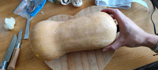 Graines de courge butternut musquée - sachet de 1 gramme