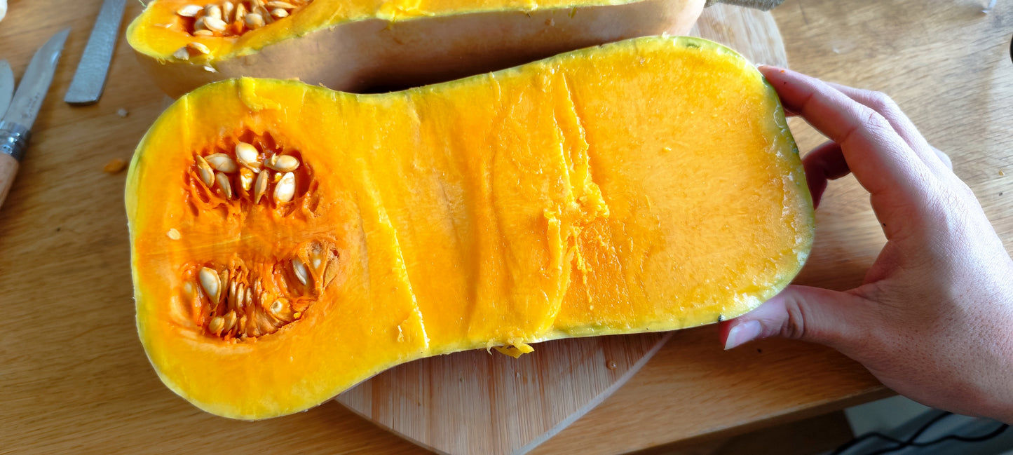 Graines de courge butternut musquée - sachet de 1 gramme