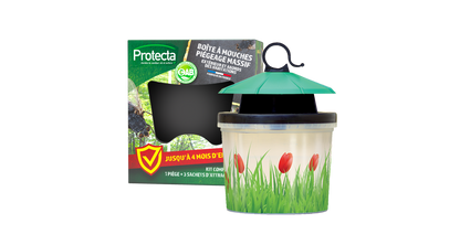 Boîte piège à mouches réutilisable avec 4 appâts inclus