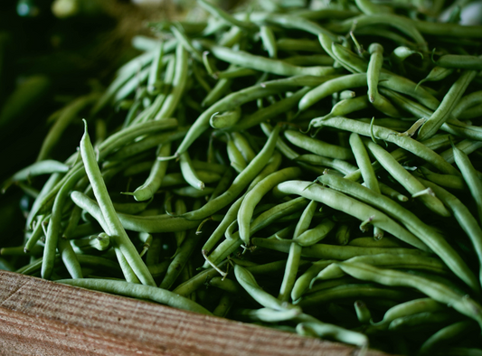 Graines de haricot vert nain CUPIDON - sachet de 20 grammes
