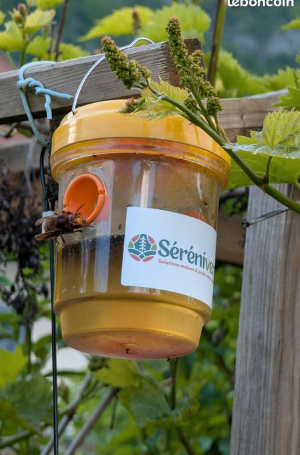 Piège écologique réutilisable pour guêpes et frelons à suspendre