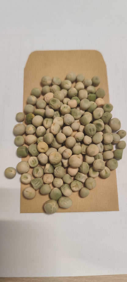 Graines de pois nain précoce Douce Provence - sachet de 20 grammes