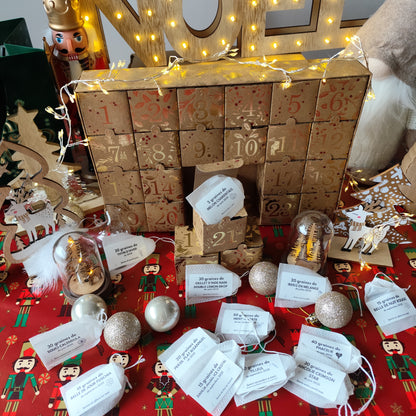 Calendrier de l’avent pour amoureux du jardin 24 variétés de graines de légumes, fleurs et aromatiques à semer.