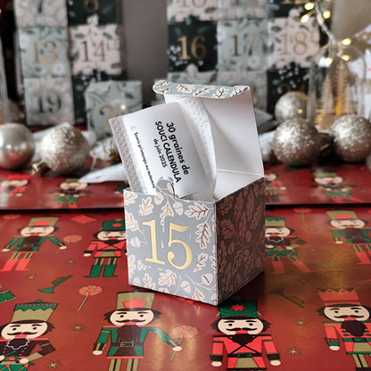 Calendrier de l’avent pour amoureux du jardin 24 variétés de graines de légumes, fleurs et aromatiques à semer.